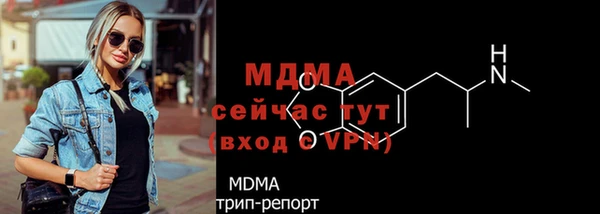 молекула духа Богданович